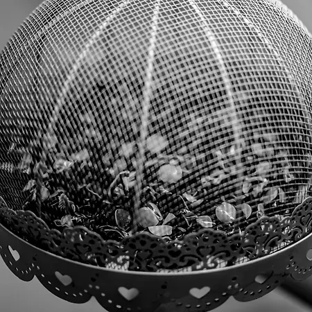 Hotel Un Patio En Santa Cruz Séville