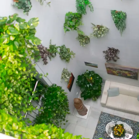 Un Patio En Santa Cruz