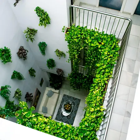 Un Patio En Santa Cruz 2* Séville