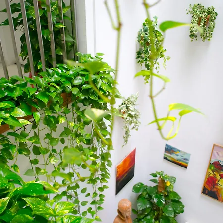 Un Patio En Santa Cruz 2*