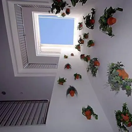 Un Patio En Santa Cruz 2*